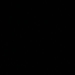 Meet your Posher, Paxton